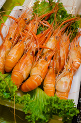 Similar image 21404914