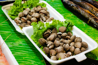 Similar image 21404916