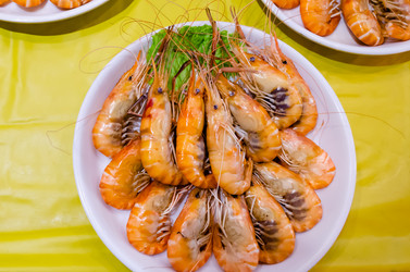 Similar image 21404920