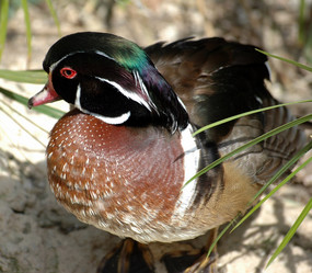 Similar image 21407469