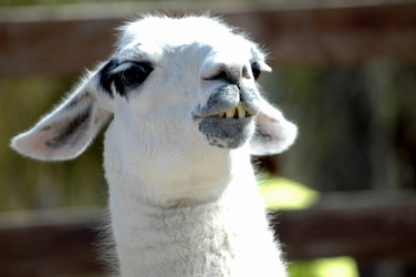 Similar image 21402865