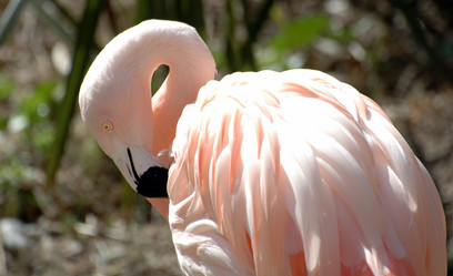 Similar image 21407470