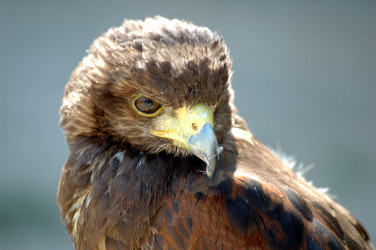 Similar image 21404926