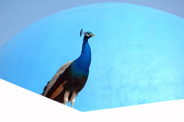 Similar image 21404927