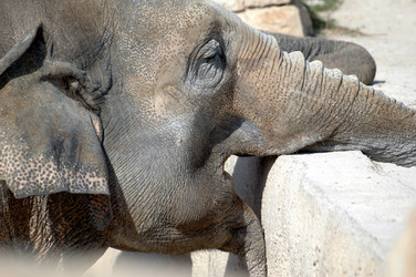 Similar image 21404928