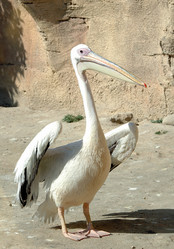 Similar image 21402866