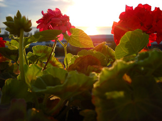 Similar image 21423304