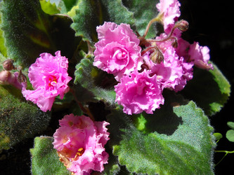 Similar image 21423308