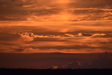 Similar image 21402872