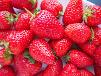 Similar image 21422547