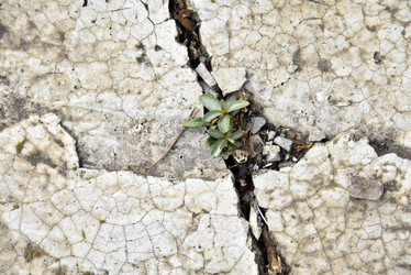 Similar image 21402876