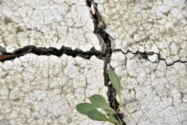 Similar image 21402877