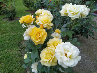 Similar image 21423320