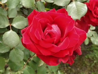 Similar image 21423324