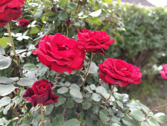 Similar image 21423326