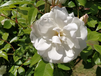 Similar image 21423327