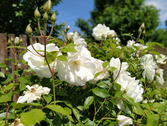 Similar image 21423328