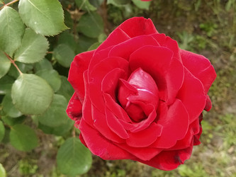 Similar image 21423335