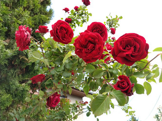 Similar image 21423338