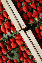 Similar image 21402880