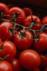 Similar image 21402886