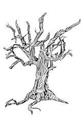 Similar image 21426646