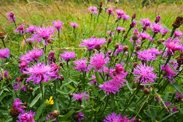 Similar image 21423339