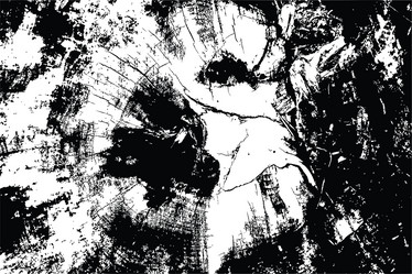 Similar image 21426682