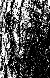 Similar image 21426684