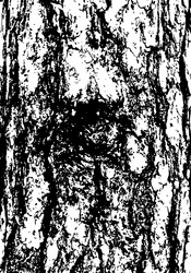 Similar image 21426686