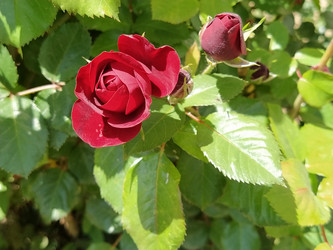 Similar image 21423346