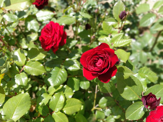 Similar image 21423347