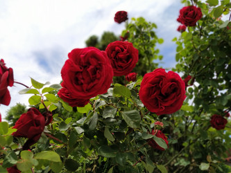 Similar image 21423349