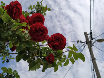 Similar image 21423350