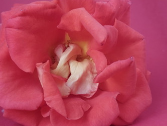 Similar image 21423354