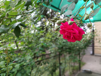 Similar image 21423356