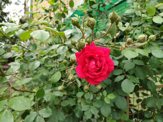 Similar image 21423357