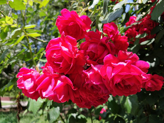 Similar image 21422904