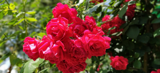 Similar image 21422905