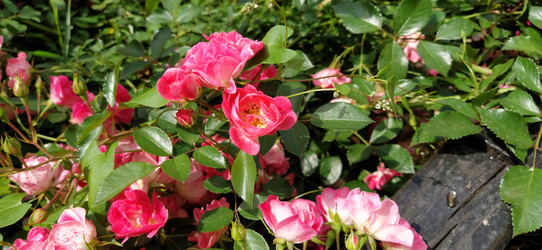 Similar image 21422908