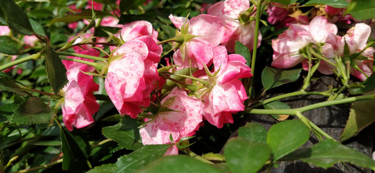 Similar image 21422909