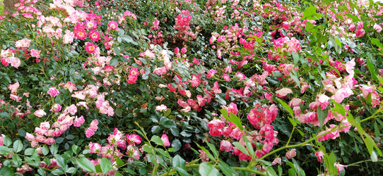 Similar image 21422912