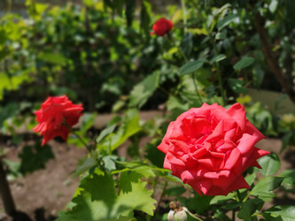 Similar image 21422913