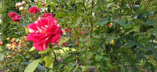 Similar image 21422914