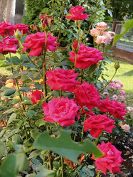 Similar image 21422915