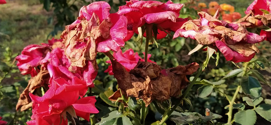 Similar image 21422917