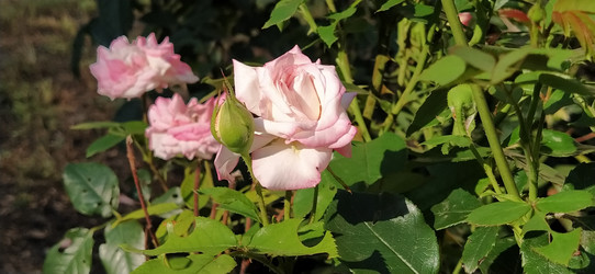 Similar image 21422918