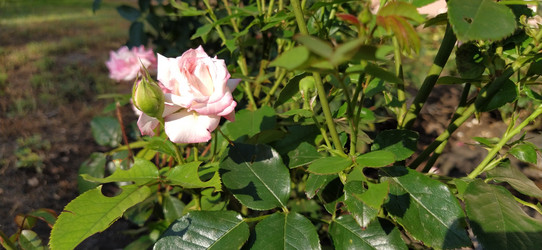 Similar image 21422919