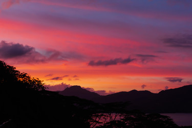 Similar image 21404954