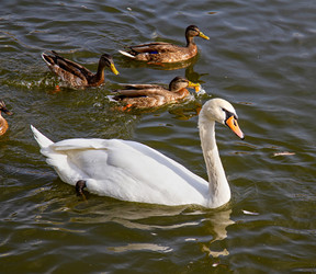 Similar image 21404959